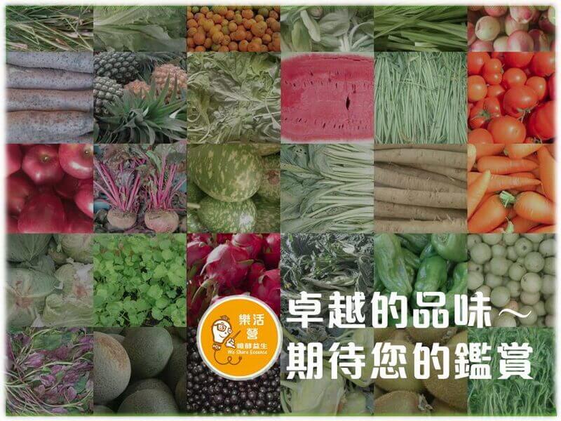 極品輕醣酵素